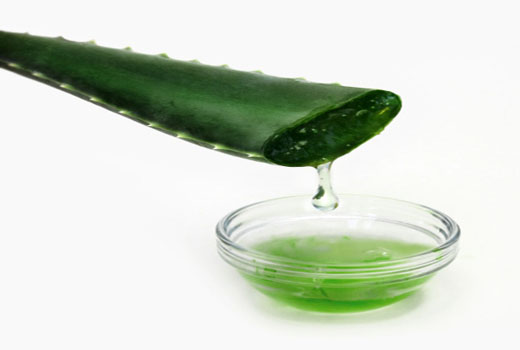 điều trị sẹo lõm với lô hội