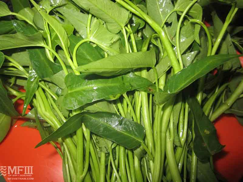 không nên ăn rau muống khi trị sẹo lồi