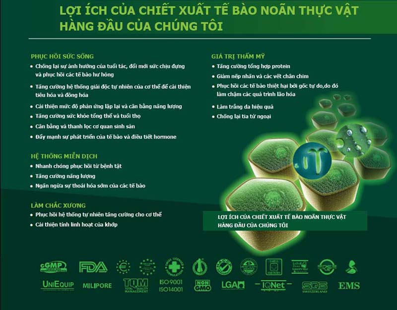 Làm trắng da với tế bào gốc noãn thực vật